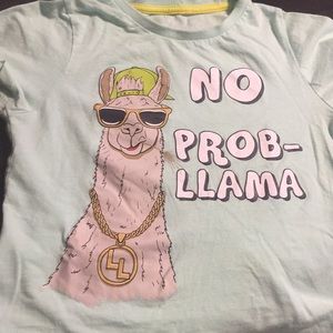 No Prob-Llama mint tshirt